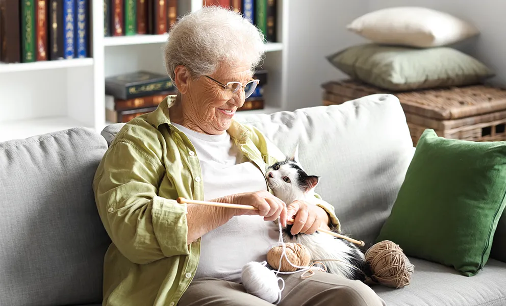 Why Choose Power Lunch?